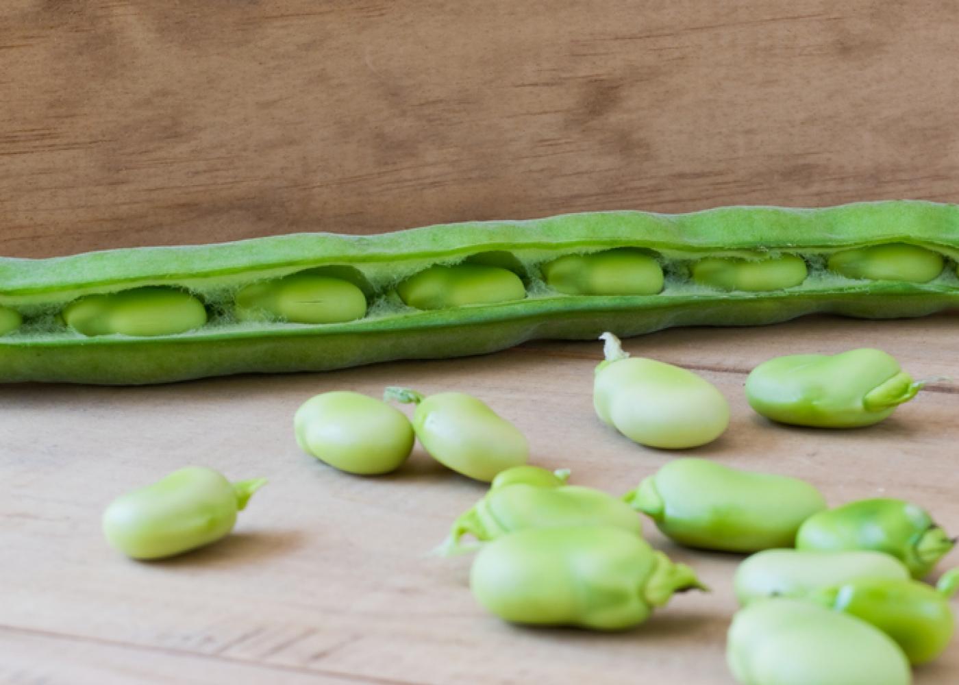 Lima Beans Benefits and Side Effects
